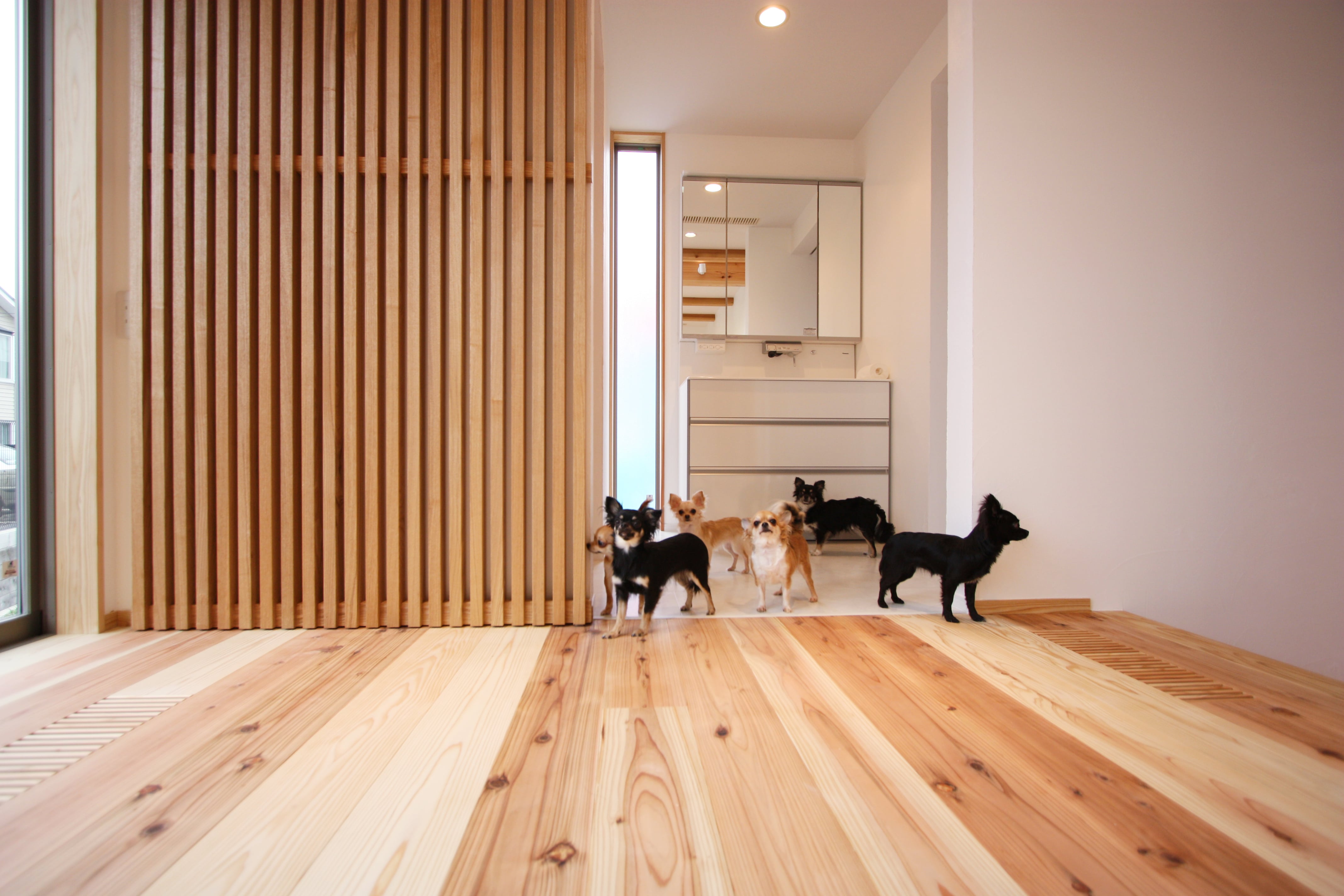 施工写真1枚目　ペットと暮らす地熱の家 