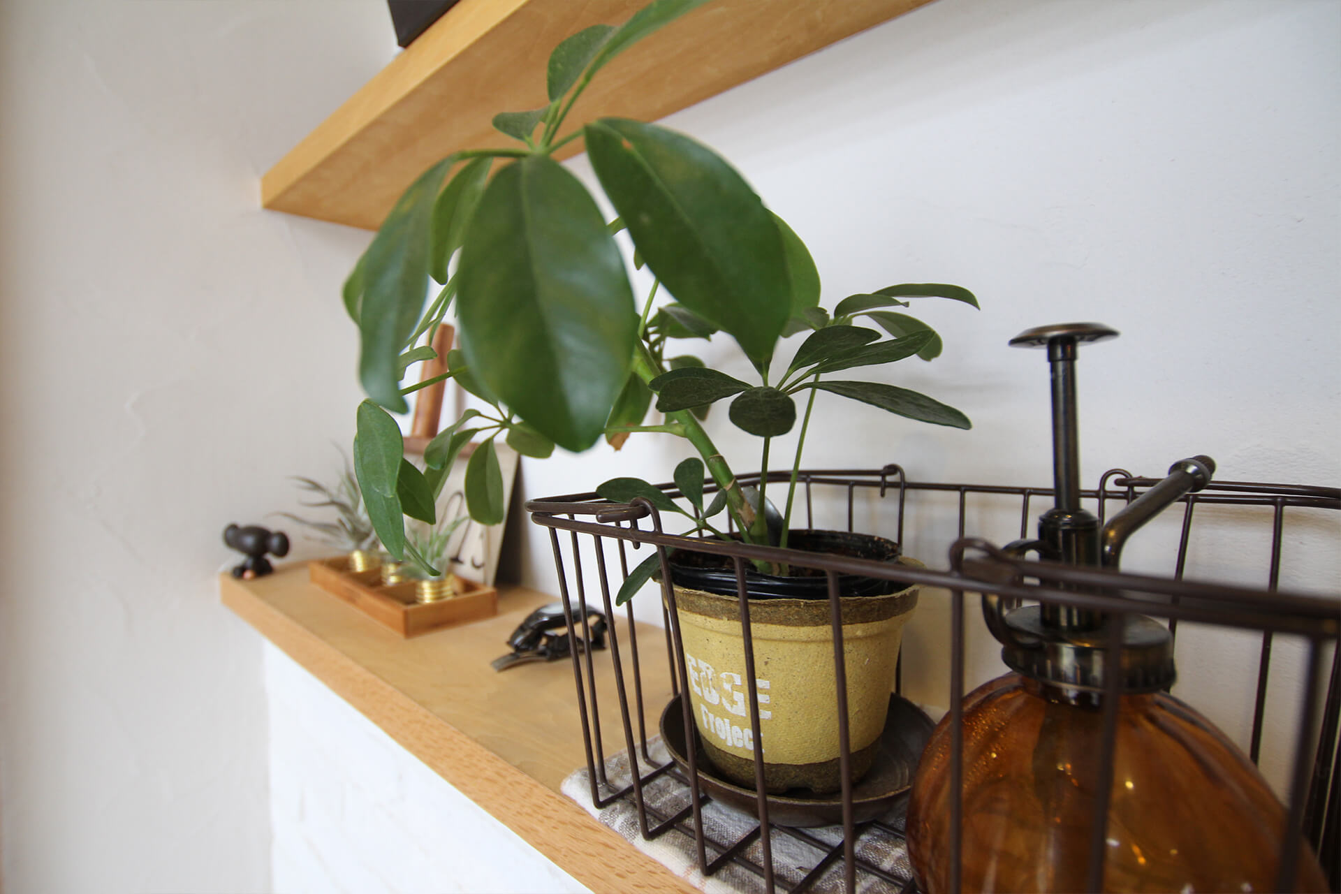 施工写真3枚目　Resort of the Forest